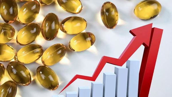 线上股票配资 集运指数(欧线)期货产业拓展培训在湘落地